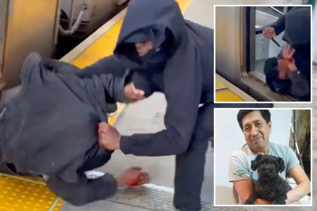 Video stills from a subway platform altercation, with an inset photo of a man holding a small dog
